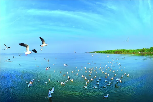 บางปู และสถานตากอากาศบางปู