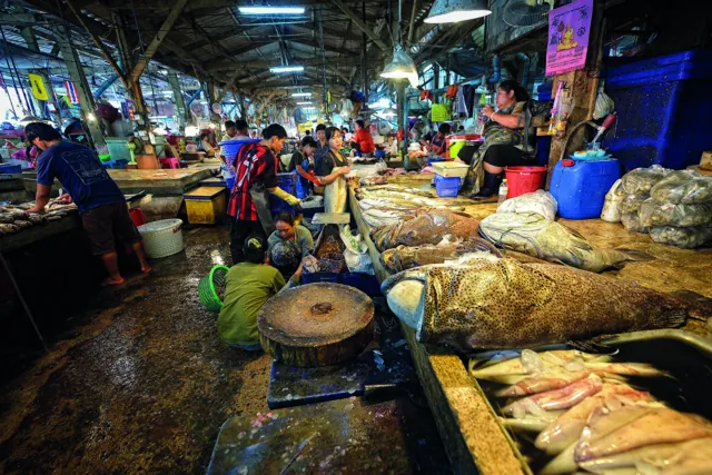 ตลาดทะเลไทย